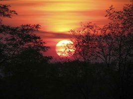 ЦЗЛ Краснодарского края