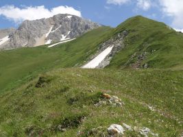 ЦЗЛ Краснодарского края
