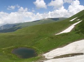 ЦЗЛ Краснодарского края