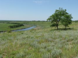 ЦЗЛ Краснодарского края