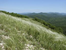 ЦЗЛ Краснодарского края