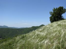 ЦЗЛ Краснодарского края