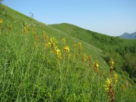 ЦЗЛ Краснодарского края