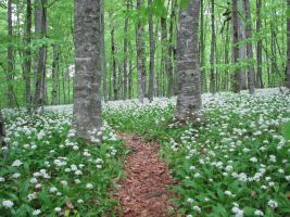 ЦЗЛ Краснодарского края