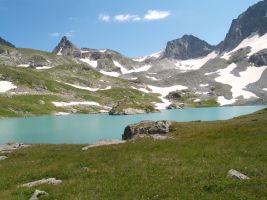 ЦЗЛ Краснодарского края