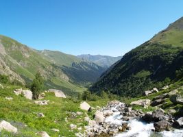 ЦЗЛ Краснодарского края