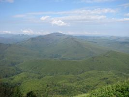 ЦЗЛ Краснодарского края