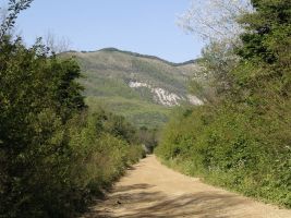 ЦЗЛ Краснодарского края
