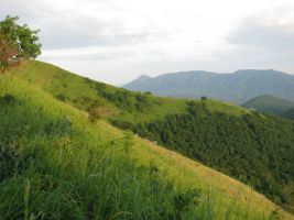 ЦЗЛ Краснодарского края