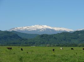 ЦЗЛ Краснодарского края