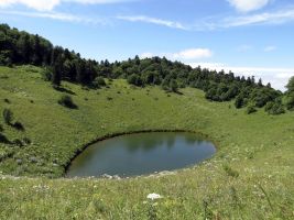 ЦЗЛ Краснодарского края