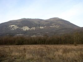 ЦЗЛ Краснодарского края