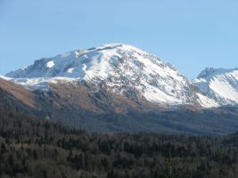 ЦЗЛ Краснодарского края