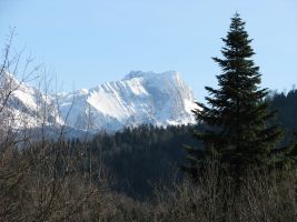 ЦЗЛ Краснодарского края