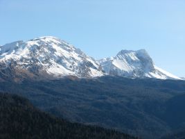 ЦЗЛ Краснодарского края