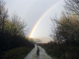 ЦЗЛ Краснодарского края