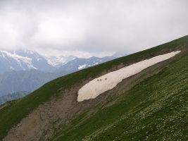 ЦЗЛ Краснодарского края