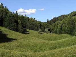 ЦЗЛ Краснодарского края