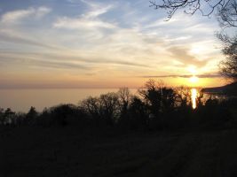 ЦЗЛ Краснодарского края
