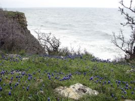 ЦЗЛ Краснодарского края