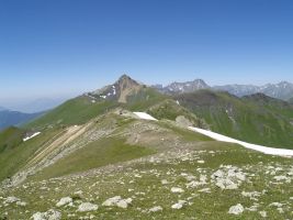 ЦЗЛ Краснодарского края