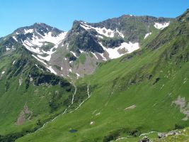 ЦЗЛ Краснодарского края