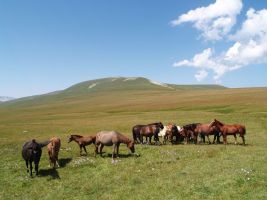 ЦЗЛ Краснодарского края