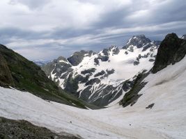 ЦЗЛ Краснодарского края