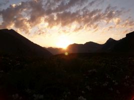 ЦЗЛ Краснодарского края