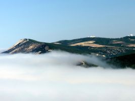 ЦЗЛ Краснодарского края