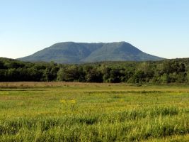 ЦЗЛ Краснодарского края
