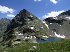 ЦЗЛ Краснодарского края