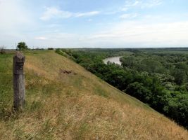 ЦЗЛ Краснодарского края