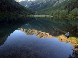 ЦЗЛ Краснодарского края