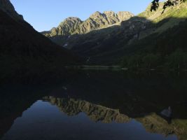 ЦЗЛ Краснодарского края