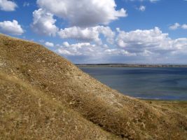 ЦЗЛ Краснодарского края