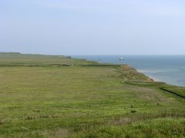 ЦЗЛ Краснодарского края