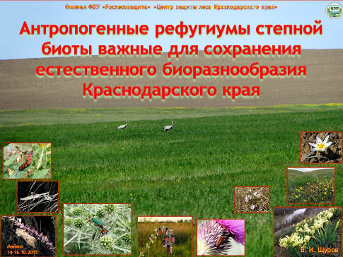 Патогенная микробиота (Fungi: Ascomycota, Basidiomycota) как один из объектов лесопатологического мониторинга на Северо-Западном Кавказе