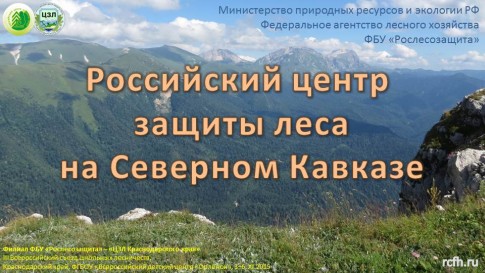 Российский центр защиты леса на Северном Кавказе