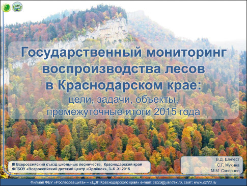 Государственный мониторинг воспроизводства лесов в Краснодарском крае.