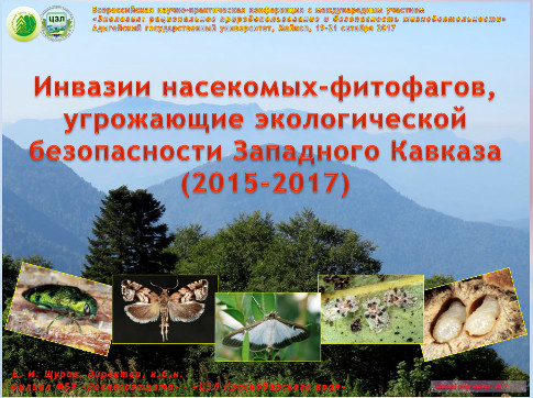 Инвазии насекомых-фитофагов, угрожающие экологической безопасности Западного Кавказа (2015-2017)