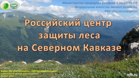 Российский центр защиты леса на Северном Кавказе, Орлёнок, 2018