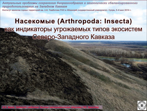 Насекомые (Arthropoda: Insecta) как индикаторы угрожаемых типов экосистем Северо-Западного Кавказа