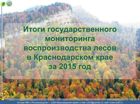 Итоги государственного мониторинга воспроизводства лесов в Краснодарском крае за 2015 год