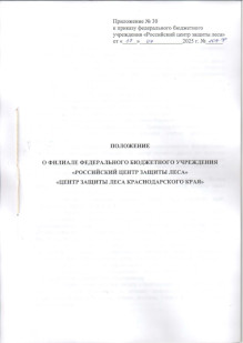 скан документа