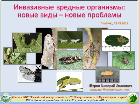 Инвазивные виды дендрофильных насекомых в лесонасаждениях Северного-Кавказа