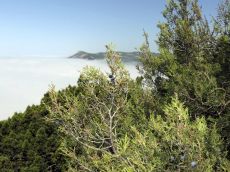 Инверсионный-туман-в-долине-Сукко