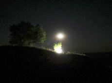 Ночь-Луна-фонарь