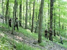 тренинг-под-пологом-скальнодубового-леса