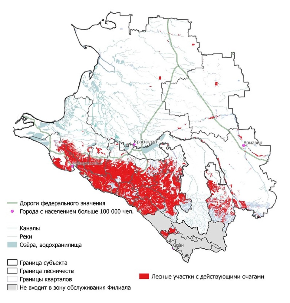 Хвойные леса краснодарского края карта